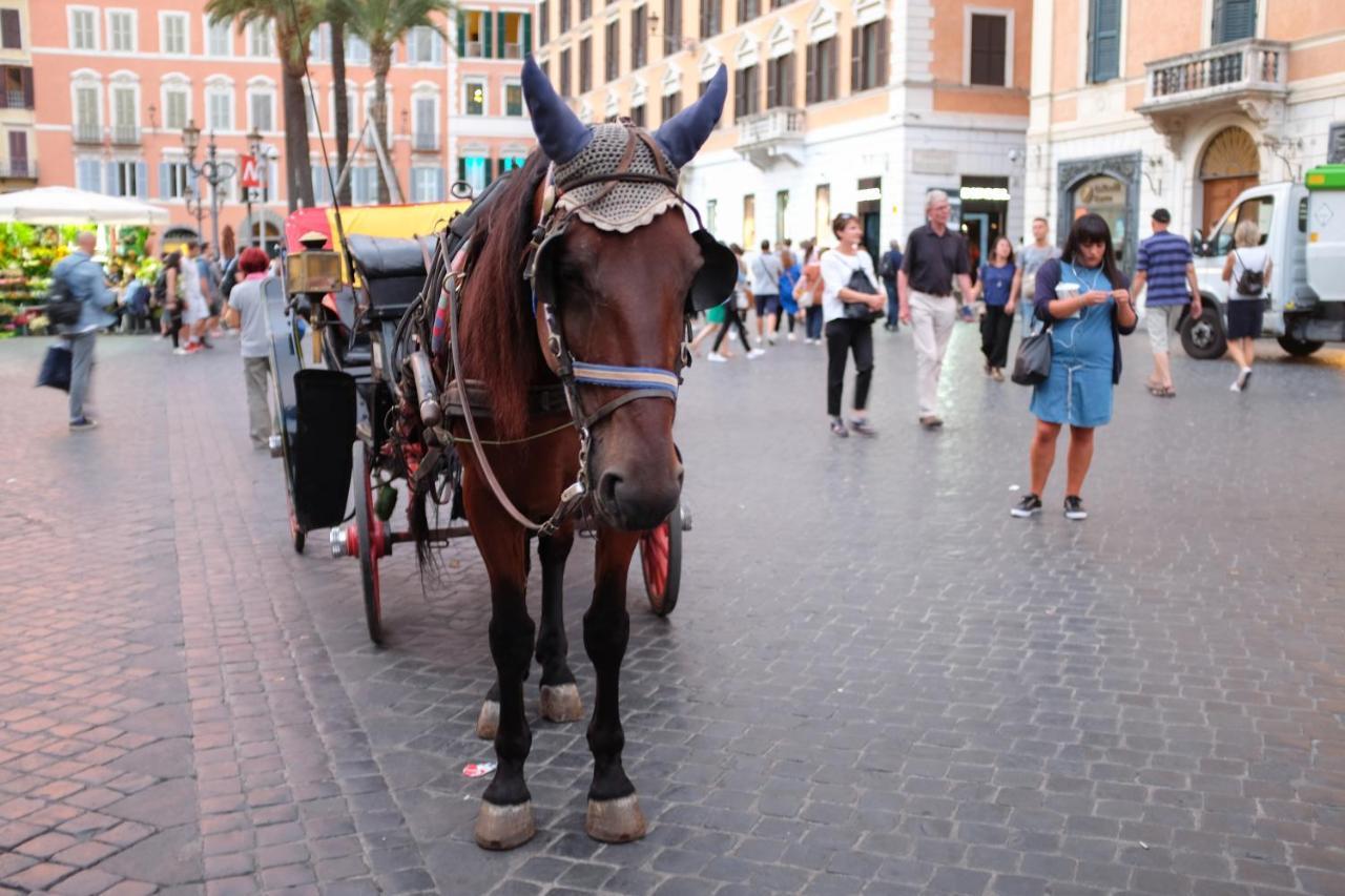 Joivy Trevi Fountain's Relais Appartamento